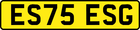 ES75ESG