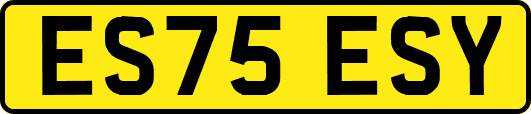 ES75ESY