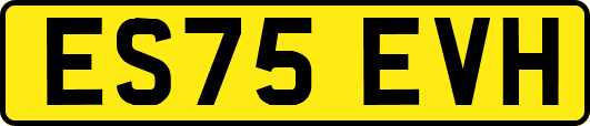 ES75EVH