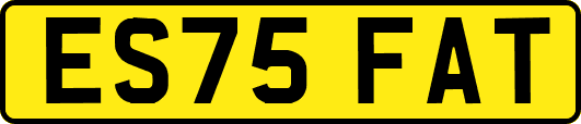 ES75FAT