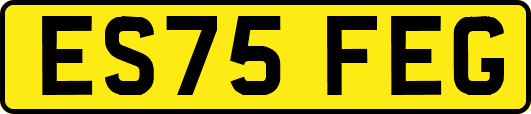 ES75FEG