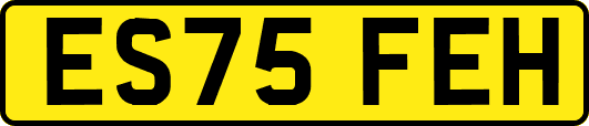 ES75FEH