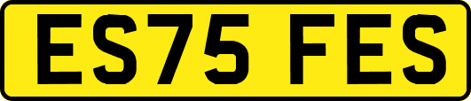 ES75FES