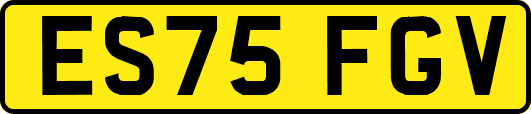 ES75FGV