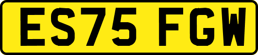 ES75FGW
