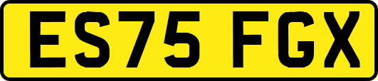 ES75FGX