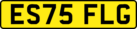 ES75FLG