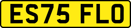 ES75FLO