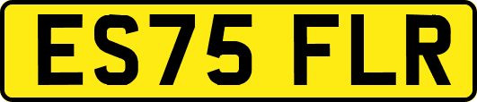 ES75FLR