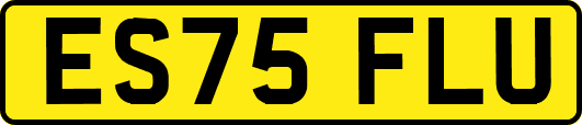 ES75FLU