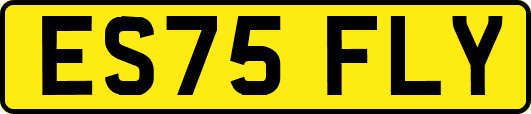 ES75FLY