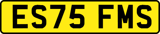 ES75FMS