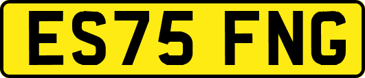 ES75FNG