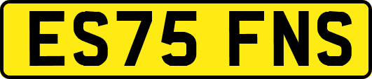 ES75FNS
