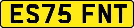 ES75FNT