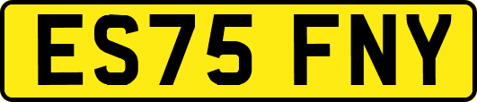 ES75FNY