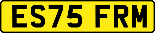 ES75FRM