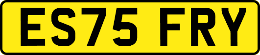 ES75FRY