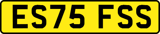 ES75FSS