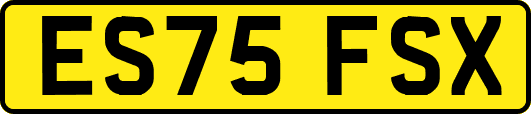 ES75FSX