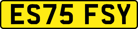 ES75FSY