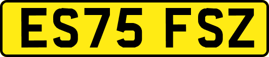 ES75FSZ