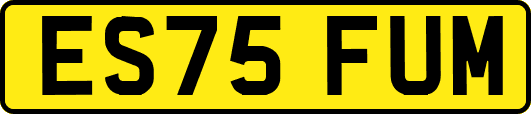 ES75FUM