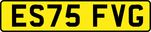 ES75FVG