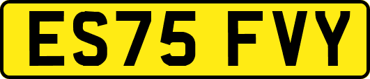 ES75FVY