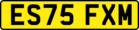 ES75FXM
