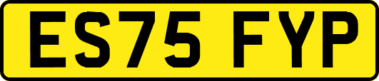 ES75FYP