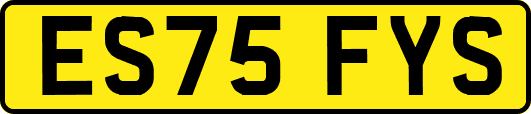 ES75FYS