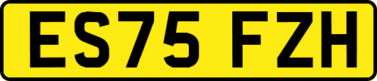 ES75FZH