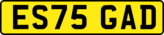 ES75GAD