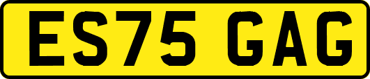 ES75GAG
