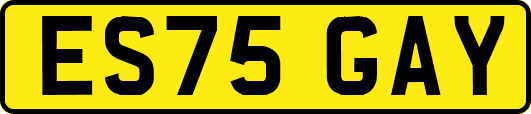 ES75GAY