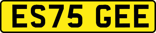 ES75GEE