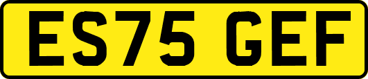 ES75GEF