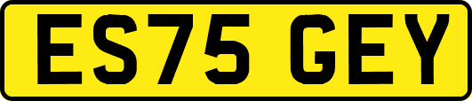 ES75GEY