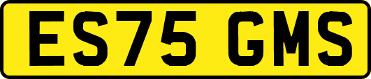 ES75GMS