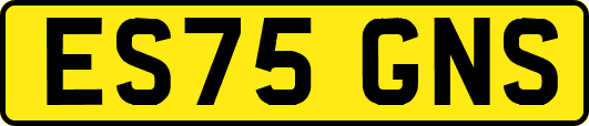 ES75GNS