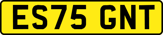ES75GNT