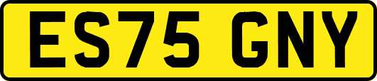 ES75GNY