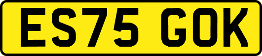 ES75GOK