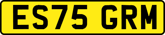 ES75GRM