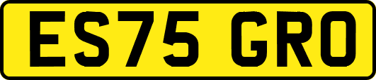 ES75GRO