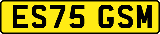 ES75GSM