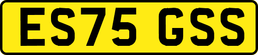 ES75GSS
