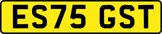 ES75GST