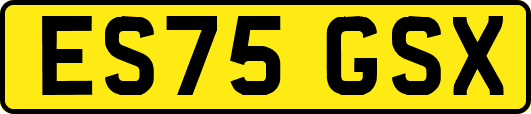 ES75GSX